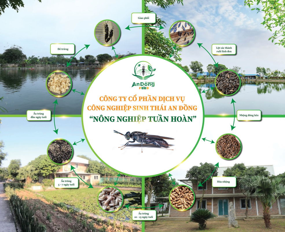 CÔNG TY CỔ PHẦN DỊCH VỤ CÔNG NGHIỆP SINH THÁI AN ĐỒNG