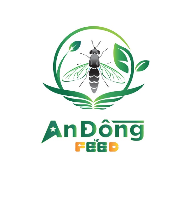 An Đồng Feed