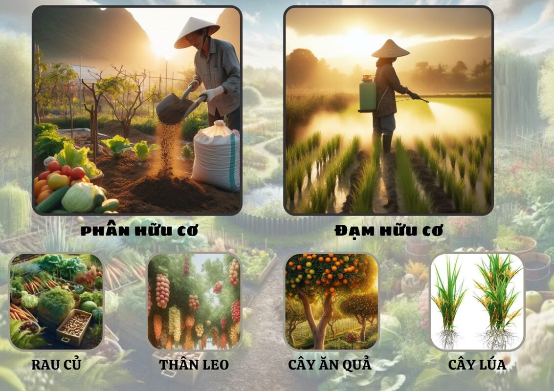 Phân hữu cơ ấu trùng ruồi lính đen dùng cho cây trồng các loại