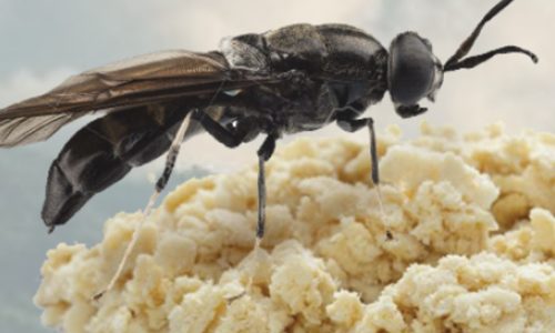 z5695317487866 7c6d6f7440d32b6c9a5e5a9cd4585e20